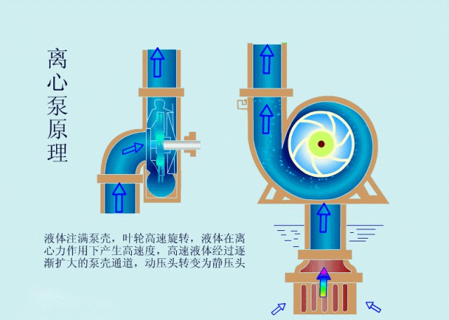 离心泵启动时，出口阀门必 须关闭吗？